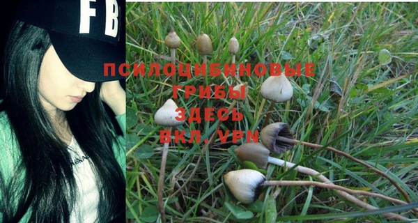 марки lsd Богородск